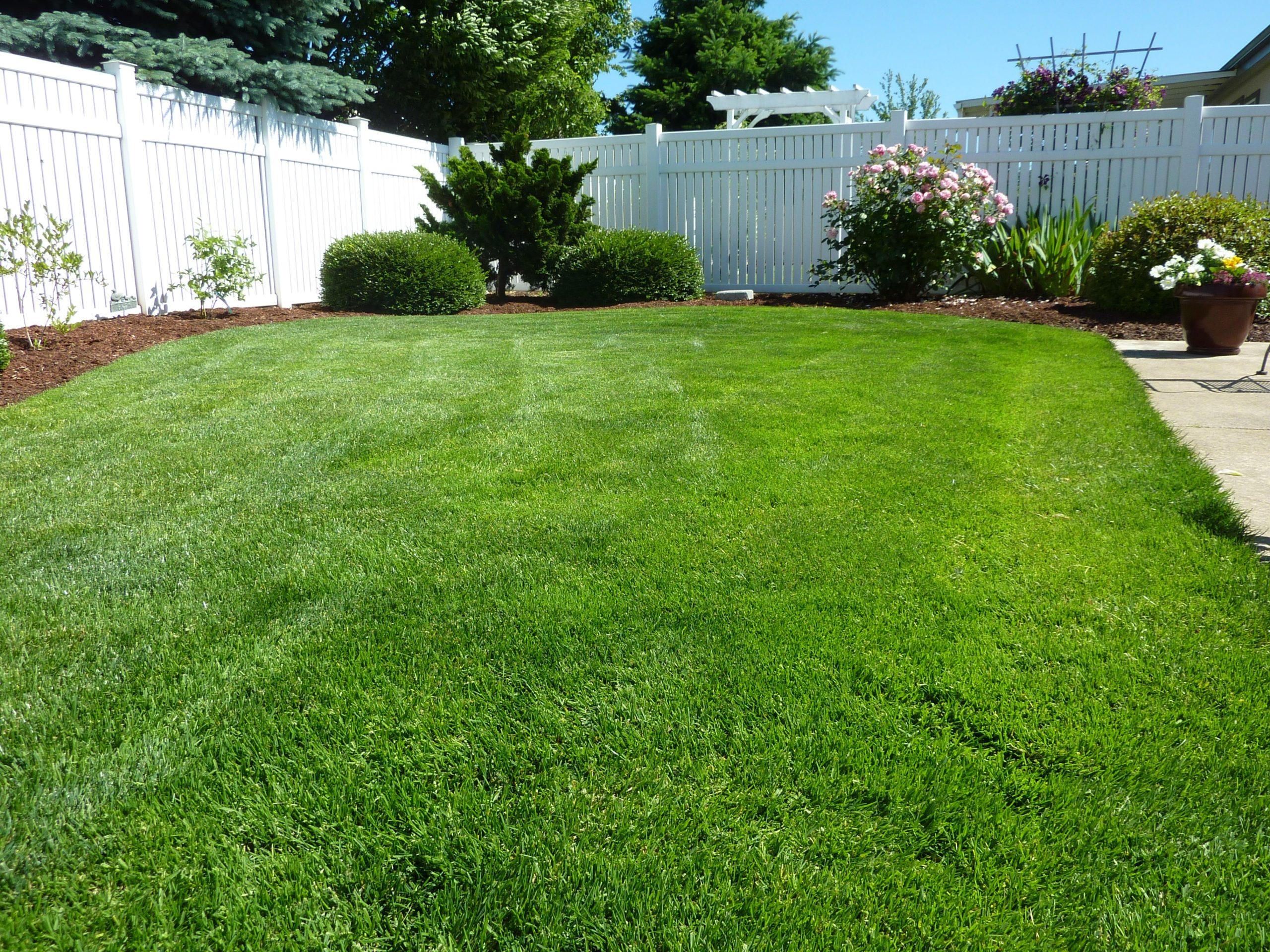 back_yard_grass_vinyl