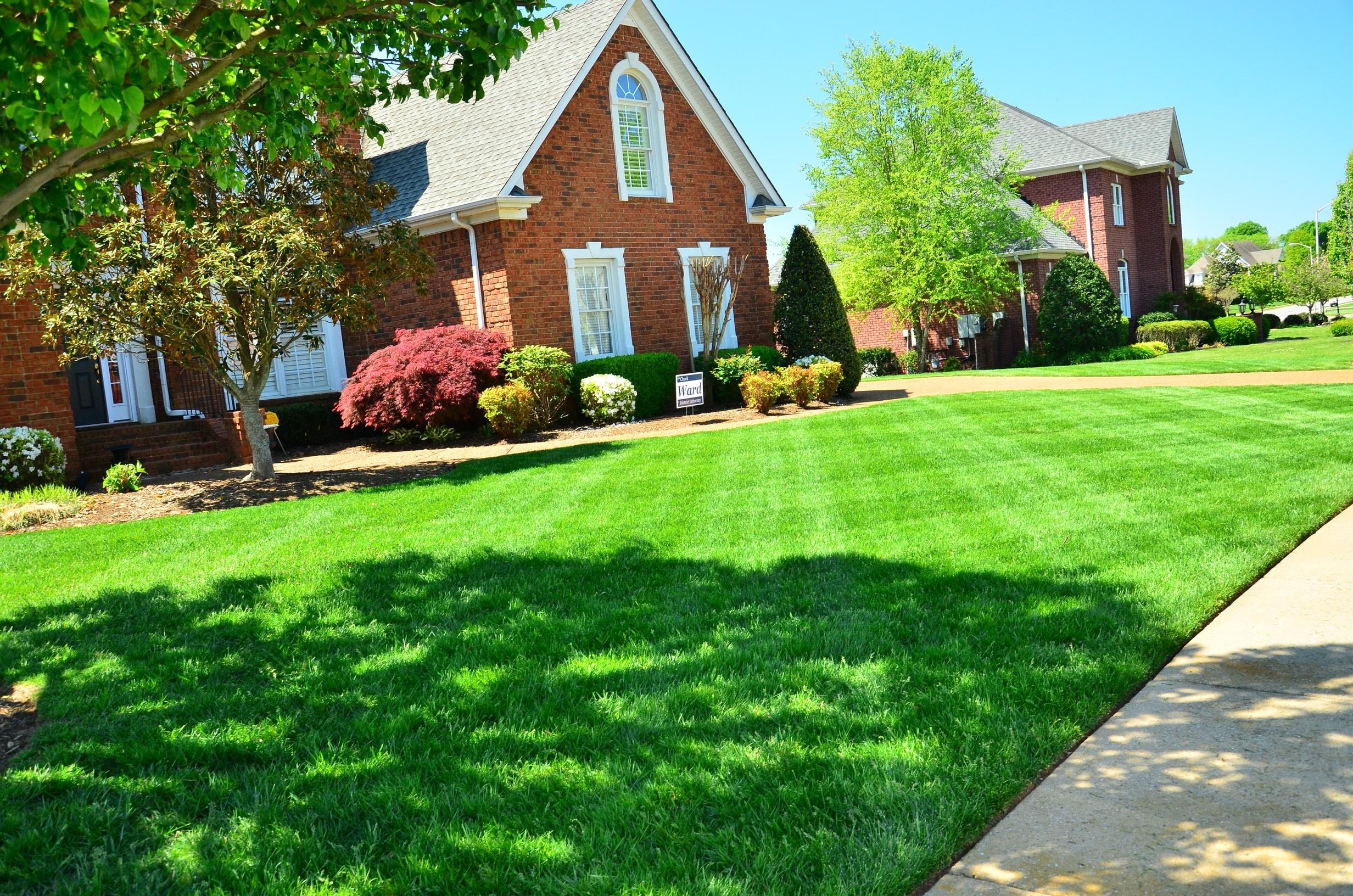 lawn_care_lawn_maintenance_1