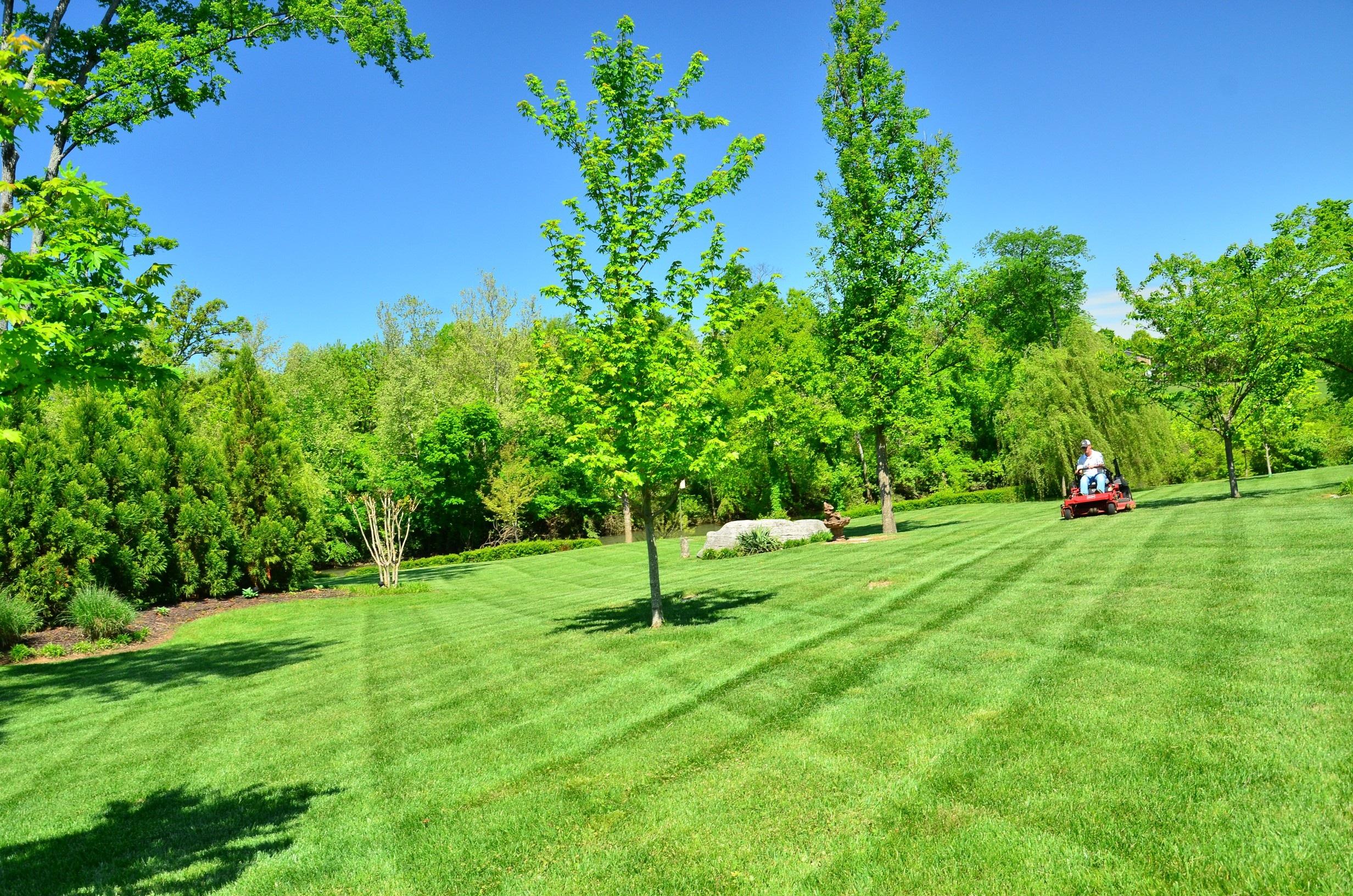 lawn_care_lawn_maintenance_3